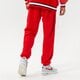 Vyriškos kelnės NIKE KELNĖS CHI M NK DF SPOTLIGHT PNT NBA dn8181-657 spalva tamsiai raudona