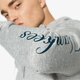 Vyriškas džemperis NEW ERA DŽEMPERIS TEAM APPAREL FZ HOODY 11493603 spalva pilka