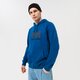 Vyriškas džemperis HELLY HANSEN DŽEMPERIS SU GOBTUVU HH LOGO HOODIE 33977606 spalva tamsiai mėlyna