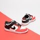 Vaikiški kedai NIKE DUNK LOW  dc9564-100 spalva balta