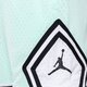 Vyriški šortai JORDAN ŠORTAI dh9075-379 spalva turkio