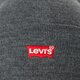 Vaikiška kepurė LEVI'S KEPURĖ RED BATWING EMBROIDERED BEANIE 38022-0181 spalva pilka