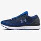Moteriški kedai UNDER ARMOUR UA W CHARGED BANDIT 3 OMBRE 3020120500 spalva mėlyna