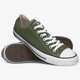 Vyriški inkariukai CONVERSE CHUCK TAYLOR ALL STAR  166711c spalva žalia