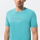 Vyriški marškinėliai CHAMPION MARŠKINĖLIAI CREWNECK MARŠKINĖLIAI 217219bs148 spalva žalia