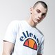 Vyriški marškinėliai ELLESSE MARŠKINĖLIAI TEDI she09993whitemarl spalva pilka