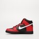 Vaikiški kedai NIKE DUNK HIGH BG db2179-003 spalva raudona