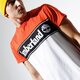Vyriški marškinėliai TIMBERLAND MARŠKINĖLIAI SS   SS CUT & SEW LINEAR LOGO TEE tb0a1oa48451 spalva daugiaspalvė