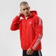 Vyriška rudeninė striukė ADIDAS STRIUKĖ 3-STRIPES WB h06685 spalva raudona