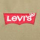 Moteriška kuprinė LEVI'S KUPRINĖ L-PACK STANDARD ISSUE d5463-0007 spalva rusvai žalsva