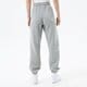 Moteriškos kelnės JORDAN ESSENTIAL JOGGERS  dq4478-063 spalva pilka