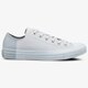 Moteriški kedai CONVERSE CHUCK TAYLOR ALL STAR  159529c spalva pilka