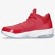 Vyriški kedai JORDAN MAX AURA 3  cz4167-600 spalva raudona