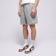 Vyriški šortai ŠORTAI M JORDAN ESS FLC SHORT fj7782-091 spalva pilka