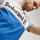 Vyriški marškinėliai TIMBERLAND MARŠKINĖLIAI SS   SS CUT & SEW LINEAR LOGO TEE tb0a1oa4x361 spalva pilka