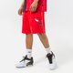 Vyriški šortai NEW ERA ŠORTAI WASHED LOGO BULLS CHICAGO BULLS FDR 13083852 spalva raudona