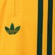 Moteriškos kelnės ADIDAS KELNĖS FBIRD LOOSE jp2316 spalva geltona
