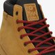 Vyriški inkariukai ETNIES JAMESON HTW 4101000469291 spalva geltona