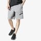 Vyriški šortai JORDAN ŠORTAI M J JUMPMAN FLC SHORT JORDAN OFF CRT BBALL aq3115-091 spalva pilka