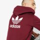Vyriškas džemperis ADIDAS DŽEMPERIS TRF FLC HOODIE ADICOLOR dn6014 spalva tamsiai raudona