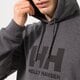 Vyriškas džemperis HELLY HANSEN DŽEMPERIS SU GOBTUVU HH LOGO HOODIE 33977981 spalva pilka