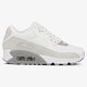 Moteriški kedai NIKE WMNS AIR MAX 90  325213129 spalva rusvai gelsva