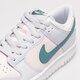 Vaikiški kedai NIKE DUNK LOW fd1232-002 spalva pilka