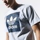 Vyriški marškinėliai ADIDAS MARŠKINĖLIAI SS BB PRINT TEE 1 ec7362 spalva pilka