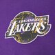 Vyriški marškinėliai NEW ERA MARŠKINĖLIAI INFILL TEAM LOGO OS LAKERS LOS ANGELES  60332134 spalva violetinė