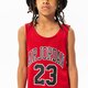 Vaikiški JORDAN SUKNELĖ HBR JORDAN JERSEY TRENINGASS GIRL 45b320-r78 spalva raudona