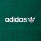 Vyriški šortai ADIDAS ŠORTAI GRFX SHORT kd4073 spalva žalia