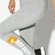 Moteriškos kelnės NIKE TAMPRĖS W NSW LGGNG HW JDI aq0245-063 spalva pilka