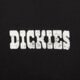 Vyriški marškinėliai DICKIES MARŠKINĖLIAI PLAIN CITY SS TEE dk0a88jiblk1 spalva juoda