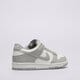 Vaikiški kedai NIKE DUNK LOW BG fb9109-123 spalva pilka