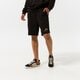 Vyriški šortai PUMA ŠORTAI ESS+ RAINBOW SWEAT SHORTS 9" TR 848679 01 spalva juoda
