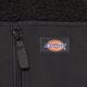 Vyriška žieminė striukė DICKIES STRIUKĖ CENTRAL HIGH PILE HOODED dk0a87nvblk1 spalva juoda