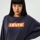 Moteriškas džemperis LEVI'S DŽEMPERIS GRAPHIC STANDARD CREW 18686-0061 spalva tamsiai mėlyna