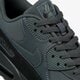 Vyriški kedai NIKE AIR MAX 90 ESSENTIAL  aj1285-009 spalva pilka