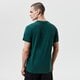 Vyriški marškinėliai NIKE MARŠKINĖLIAI BOS M NK DRY TEE ES ERND LGO NBA cz7238-330 spalva žalia