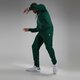 Vyriškos kelnės ADIDAS KELNĖS TREF ESS PNT C.GRN is2244 spalva žalia