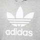 Vaikiškas džemperis ADIDAS DŽEMPERIS SU GOBTUVU TREFOIL HOODIE BOY ge1979 spalva pilka