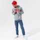 Vyriškas džemperis LEVI'S DŽEMPERIS SU GOBTUVU T2 STD GRAPHIC HOODIE 384240000 spalva pilka