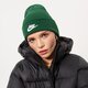 Vaikiška kepurė NIKE KEPURĖ  ŽIEMINĖ U NSW BEANIE UTILITY FUTURA dj6224-341 spalva žalia