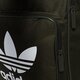 Moteriška kuprinė ADIDAS KUPRINĖ BP CLAS TREFOIL dw5187 spalva rusvai žalsva