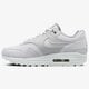 Moteriški kedai NIKE WMNS AIR MAX 1 PRM  454746-017 spalva rusvai gelsva