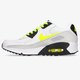 Vaikiški kedai NIKE AIR MAX 90 LTR  cd6864-112 spalva pilka