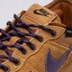 Vyriški auliniai batai NIKE C1TY PRM hj4316-200 spalva ruda