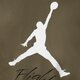 Vyriški marškinėliai JORDAN MARŠKINĖLIAI JUMPMAN FLIGHT HBR TEE ao0664-222 spalva rusvai žalsva