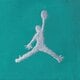 Vaikiški JORDAN ŠORTAI JDB MJ JUMPMAN WOVEN PLAY SHOR BOY 95d817-b5p spalva žalia