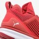 Vyriški kedai PUMA IGNITE LIMITLESS WEAVE 19050303 spalva raudona